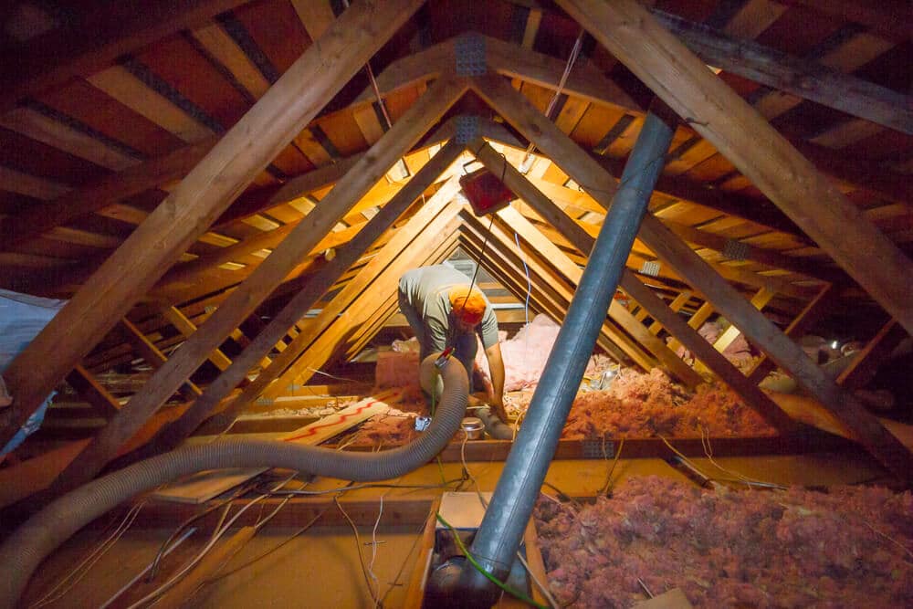 attic cleaning after rodent