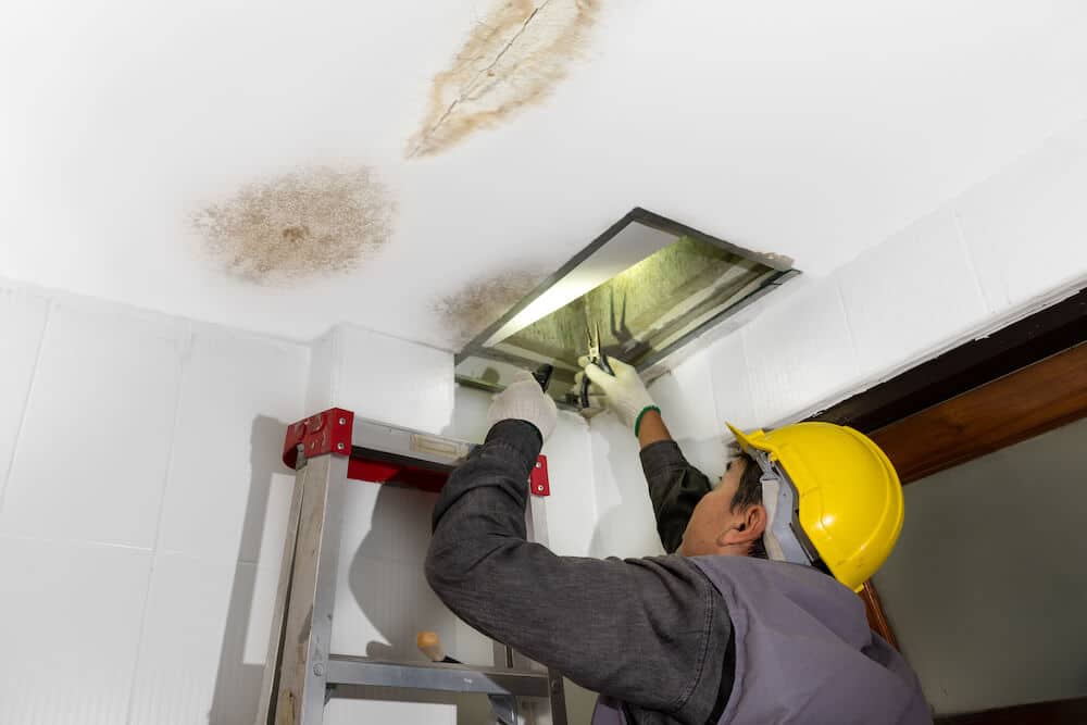 Humidity Control: A Key Factor in Attic Mold Prevention in Washington