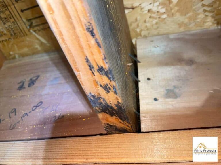 10 Steps On How To Rodent Proof Your Attic - Master Attic